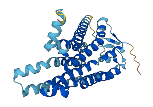 OR51B4 3D structure