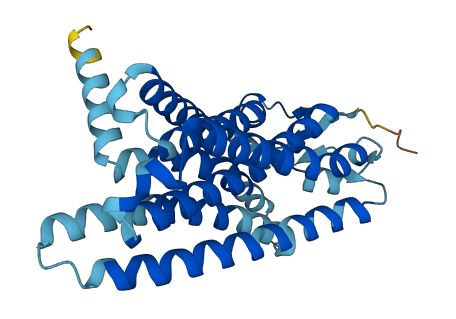 OR51B2 3D structure
