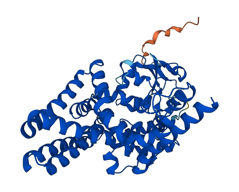 FADS3 3D structure