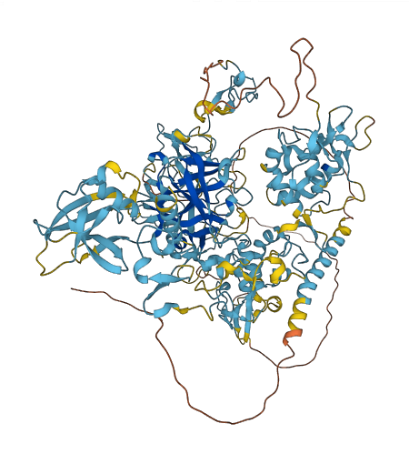 CORIN 3D structure