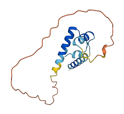 INSL5 3D structure