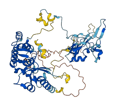 GTF3C5 3D structure