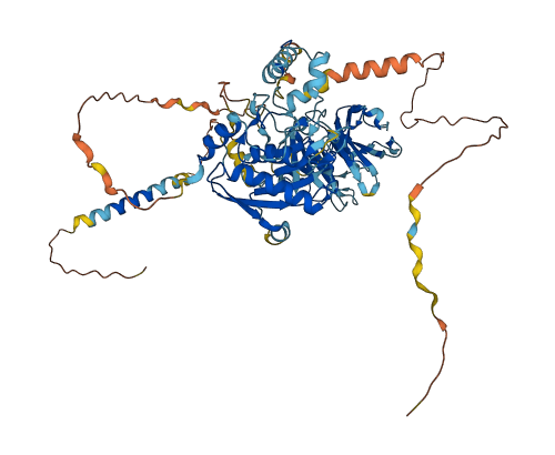MMP24 3D structure