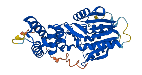 HEMK1 3D structure