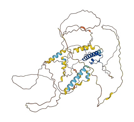 DMRT2 3D structure