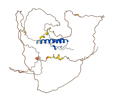 DMRT1 3D structure