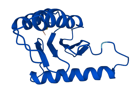 TRAPPC1 3D structure