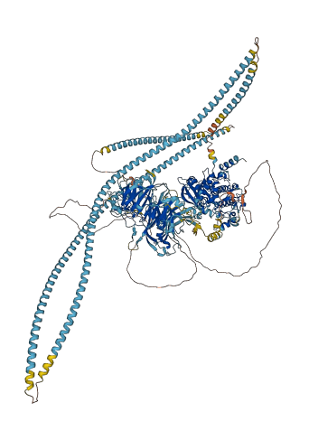 CDC42BPB 3D structure