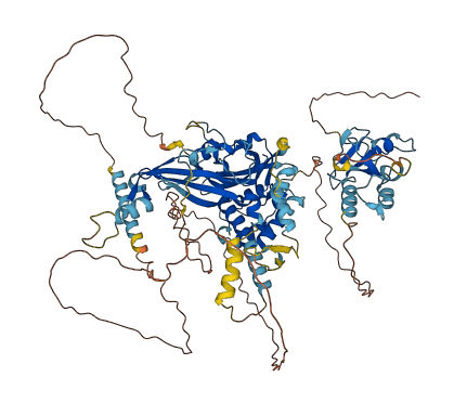 USP16 3D structure