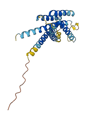 INSIG2 3D structure