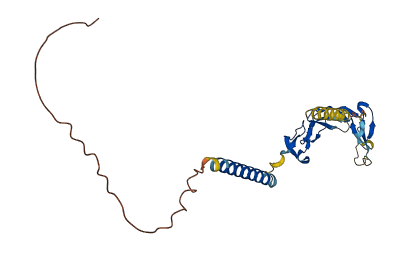 TNFRSF18 3D structure