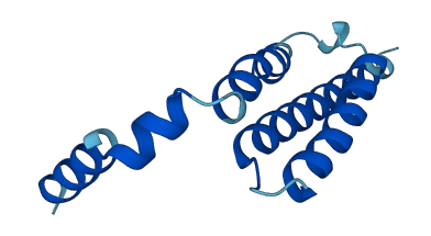 MPC1 3D structure