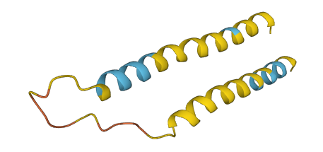 IER3IP1 3D structure