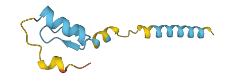 ZNF706 3D structure