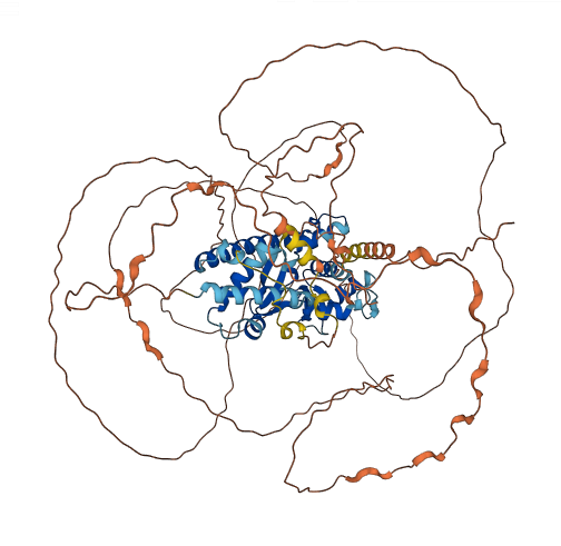 MAGED1 3D structure