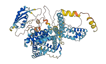 SNX14 3D structure
