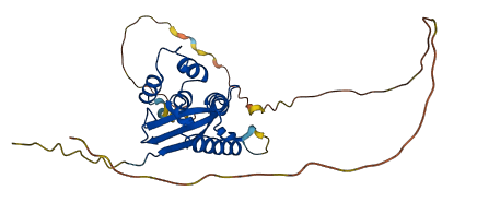 SNX11 3D structure