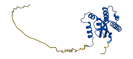 SNX10 3D structure