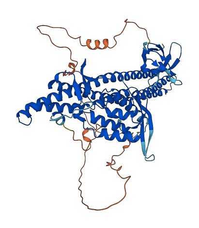 SNX9 3D structure