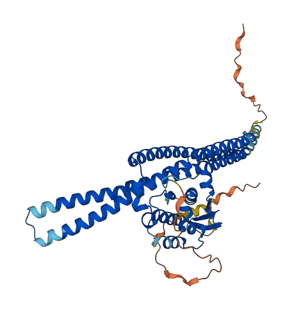 SNX8 3D structure