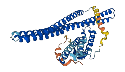 SNX5 3D structure