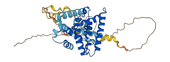 NR2E3 3D structure
