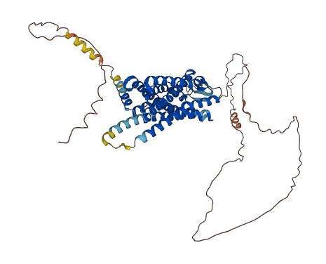 NPFFR2 3D structure