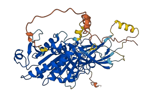 LIPG 3D structure