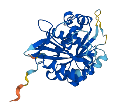 NUBP2 3D structure