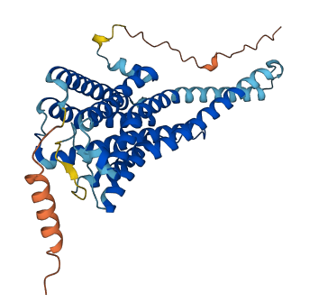 GPR45 3D structure