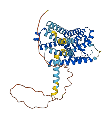 PTGDR2 3D structure