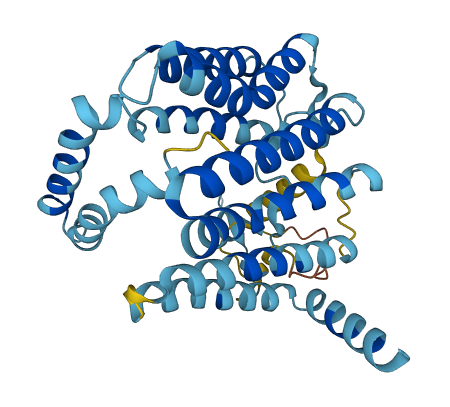 PEX16 3D structure