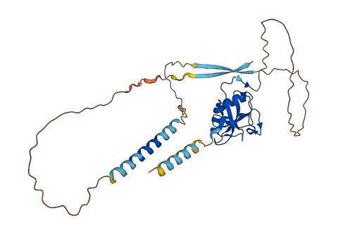 LYVE1 3D structure
