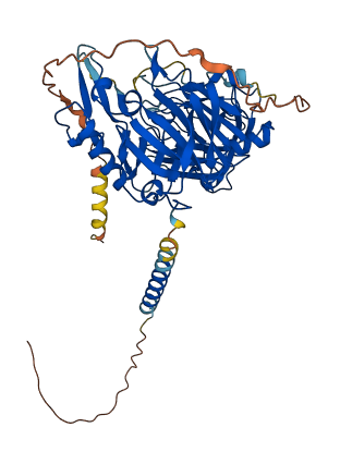 BACE2 3D structure