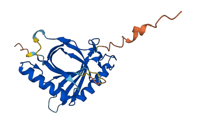 HEBP2 3D structure