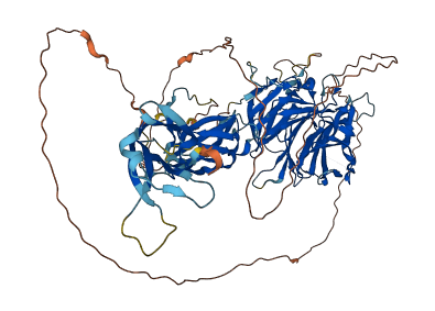 HCFC2 3D structure