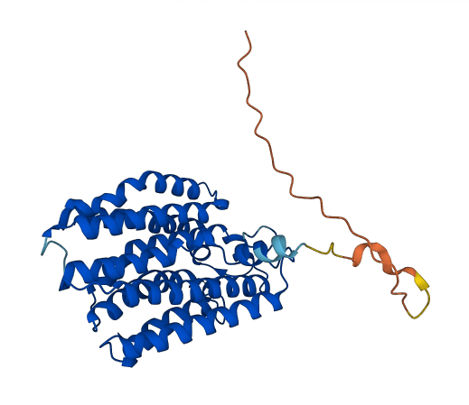 UBIAD1 3D structure