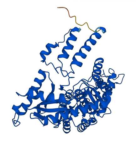 CSAD 3D structure