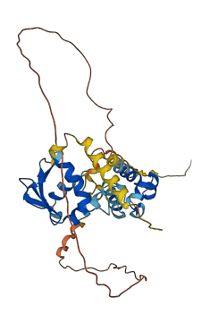 ETV7 3D structure