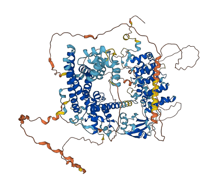 FHOD1 3D structure