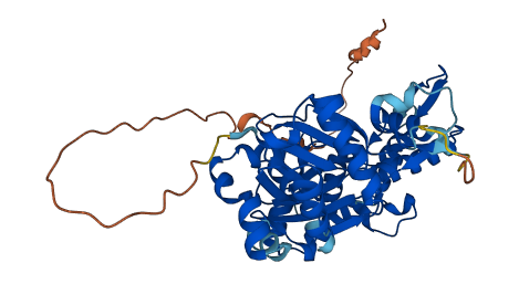 ACTL7A 3D structure