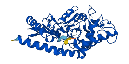 PSAT1 3D structure