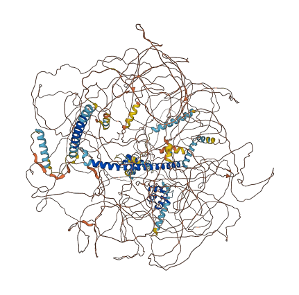 NCOR2 3D structure