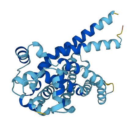 SLC25A15 3D structure