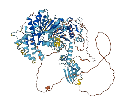 RAD54B 3D structure