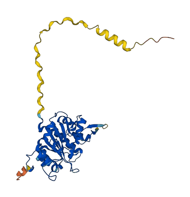 RFNG 3D structure