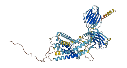 ADGRG1 3D structure