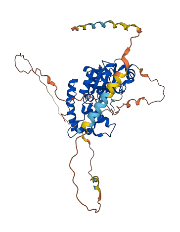 HS3ST4 3D structure