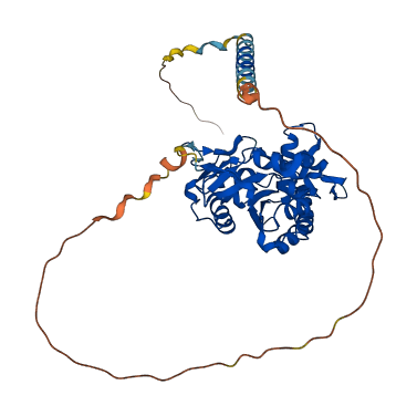 HS3ST3B1 3D structure