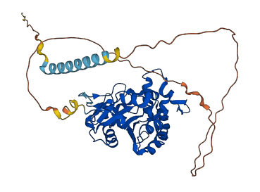 HS3ST3A1 3D structure
